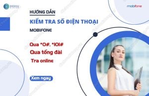 kiem tra sdt mobi