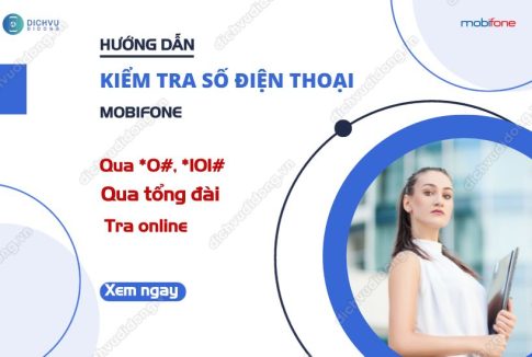 kiem tra sdt mobi