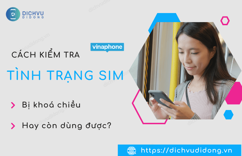 kiem tra tinh trang sim vinaphone