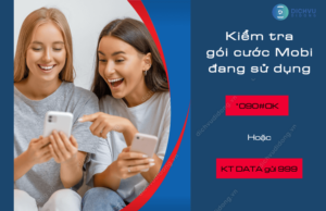 kiem tra goi mobifone dang su dung