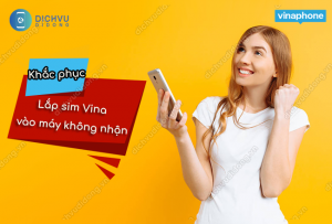 lap sim vina vao may khong nhan