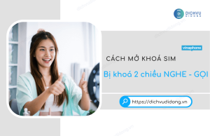 sim vinaphone bi khoa 2 chieu