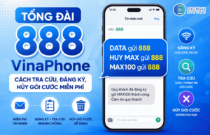 tong dai 888 vinaphone