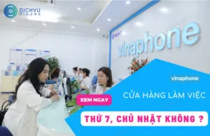 cua hang vina co lam viec chu nhat khong