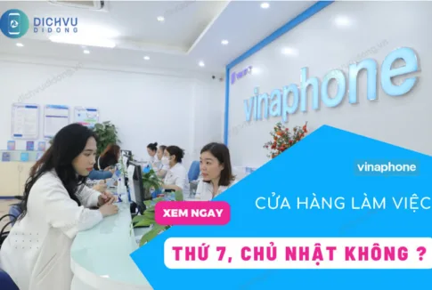 cua hang vina co lam viec chu nhat khong