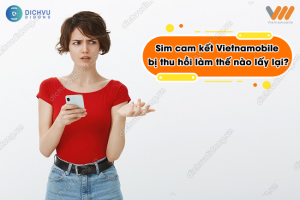 Sim cam kết bị thu hồi Vietnamobile