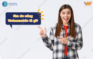 sim Vietamobile đa năng là gì