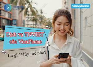 dich vu tnviet cua vinaphone