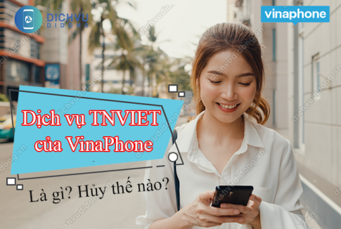 dich vu tnviet cua vinaphone