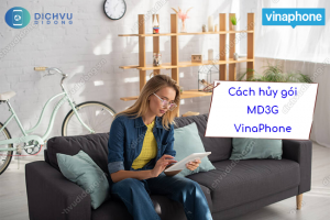 huy md3g vina n