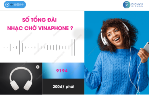 so tong dai nhac cho vinaphone