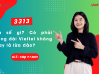 3313 la so dien thoai gi