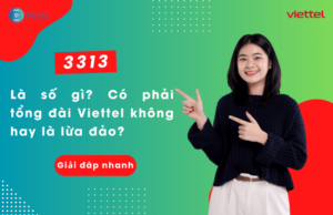 3313 la so dien thoai gi