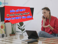 Đầu số 0877 là mạng nào