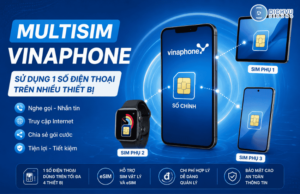 dich vu multisim vinaphone