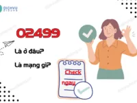 02499 la ma vung o dau?