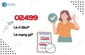 02499 la ma vung o dau?