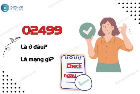 02499 la ma vung o dau?