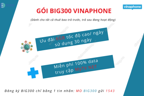 goi big300 vinaphone