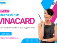 vinacard la goi cuoc gi