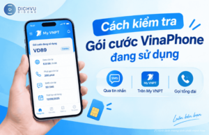 kiem tra goi cuoc vinaphone dang su dung