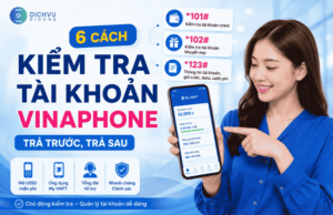 kiem tra tai khoan vinaphone