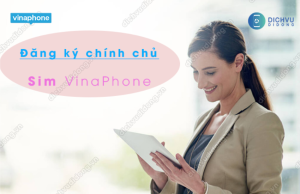 dang ky chinh chủ sim vina