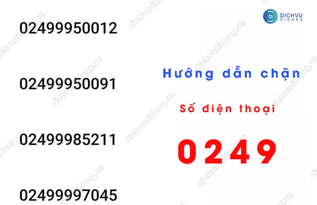 huong dan chan dau so 0249