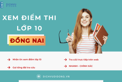 tra cuu diem thi lop 10 dong nai