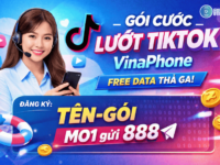 goi nen tiktok vinaphone