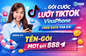 goi nen tiktok vinaphone