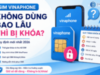 sim vinaphone khong dung bao lau bi khoa