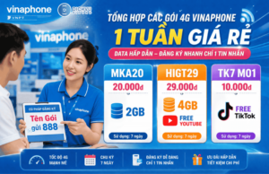 goi 4g vinaphone 1 tuan