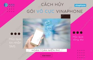 huy goi vo cuc vinaphone