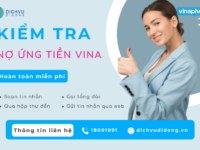 kiem tra no ung tien vina