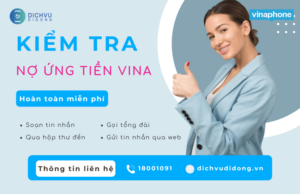 kiem tra no ung tien vina