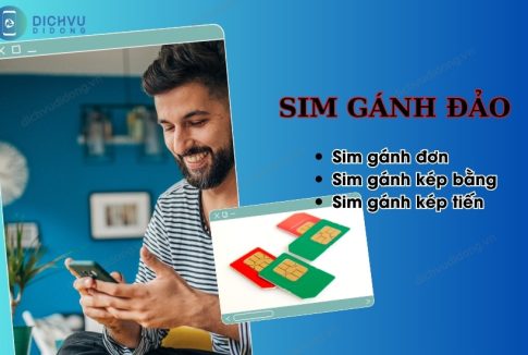 Khám phá dòng sim Gánh Đảo và Ý nghĩa trong phong thủy 1 sim ganh dao la gi