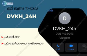 so dien thoai dvkh_24h