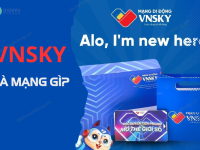 vnsky