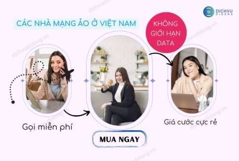 cac nha mang ao o viet nam