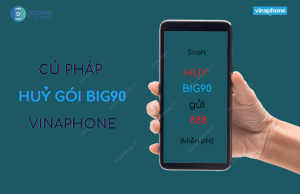 huy goi big90 vinaphone