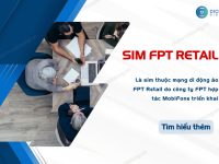 sim fpt retail