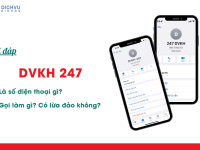 dvkh 247 la so dien thoai gi