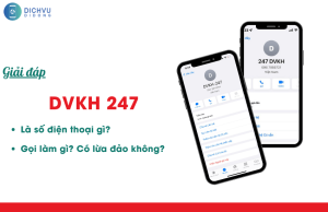 dvkh 247 la so dien thoai gi