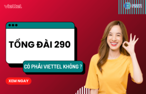 tong dai 290 la gi