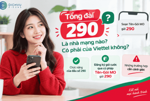 tong dai 290 viettel