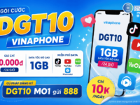 goi cuoc dgt10 vinaphone