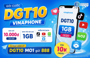 goi cuoc dgt10 vinaphone