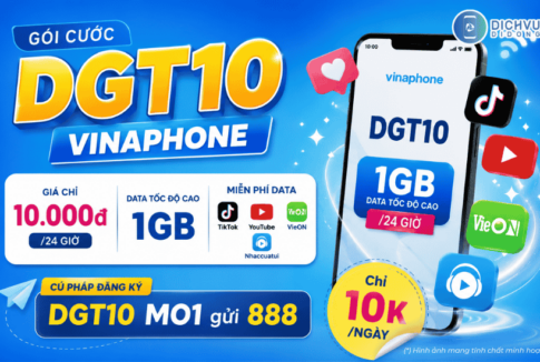 goi cuoc dgt10 vinaphone