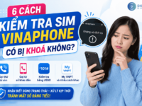kiem tra tinh trang sim vinaphone